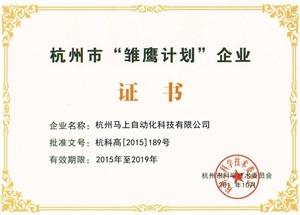 杭州市雏鹰妄想企业证书